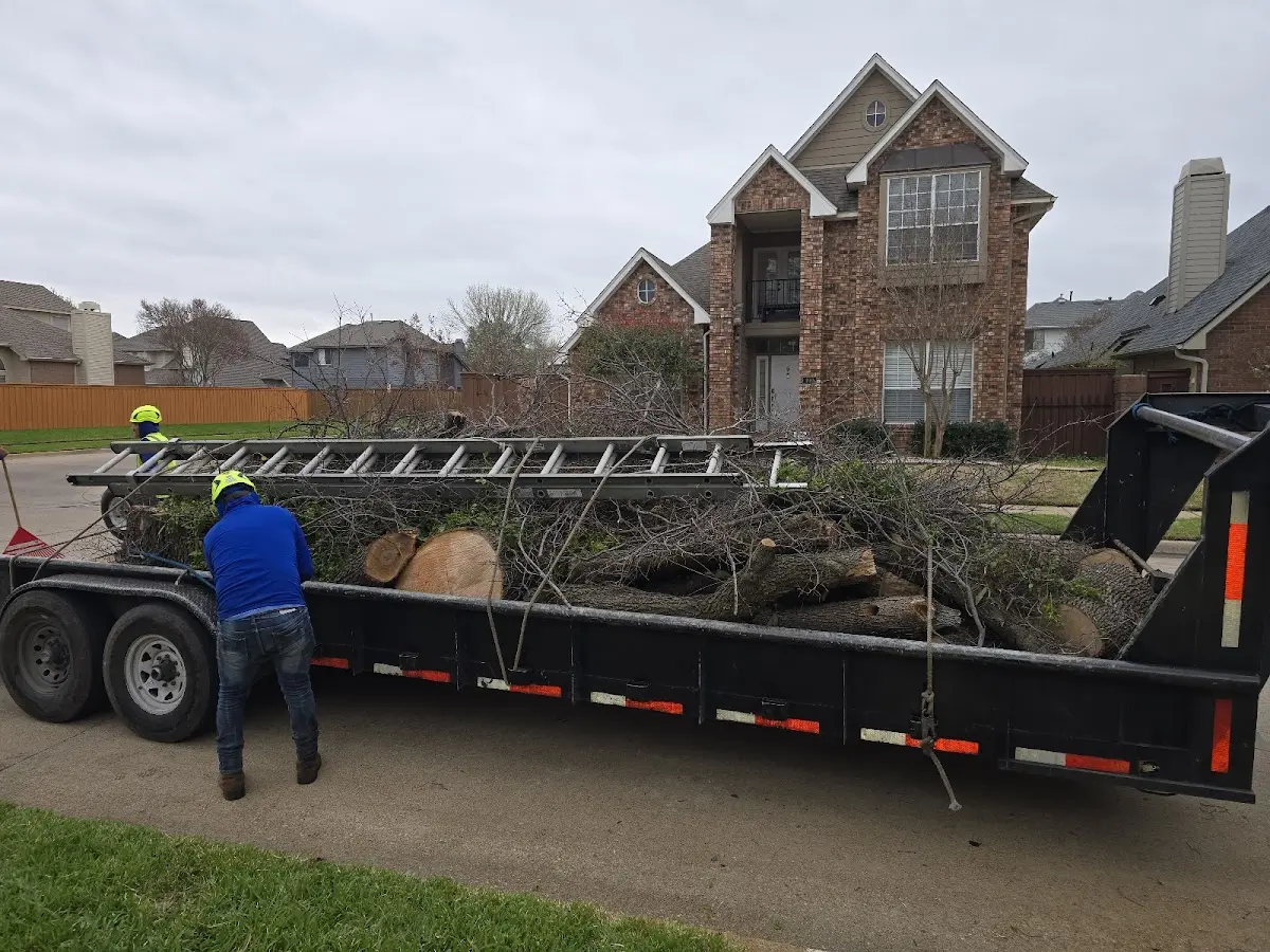 Expert Lot Clearing with proper safety equipment in Litchfield